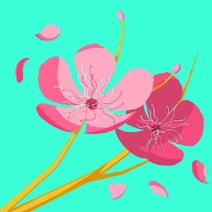 Meet your Posher, Noah